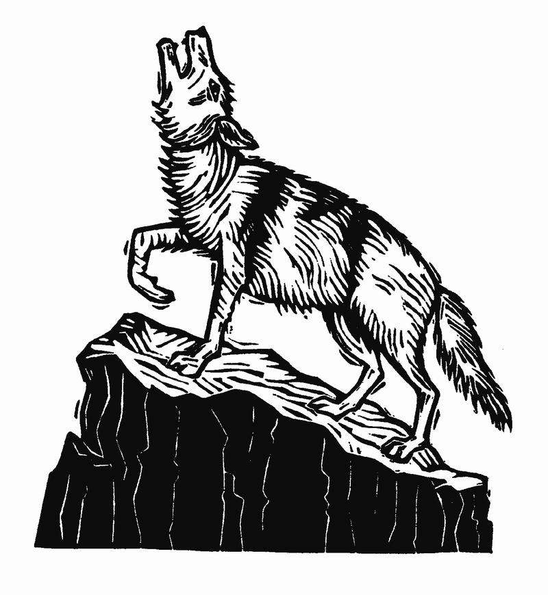 The wolf of the Stirling legend, howling from the rock