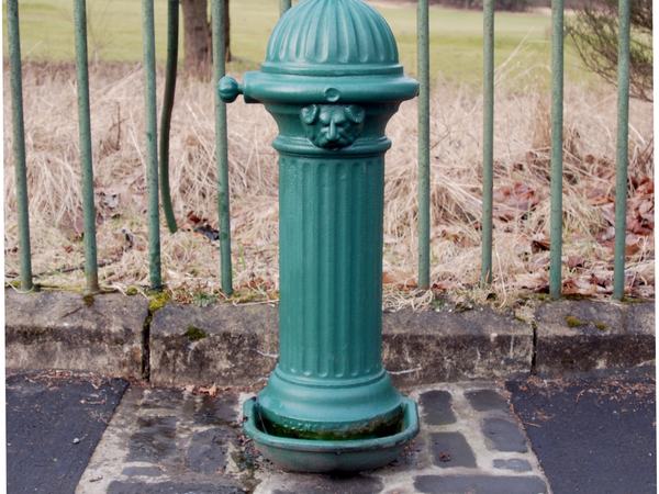 Restored Victorian ironwork drinking fountain, Victoria Place gate