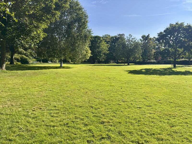 Looking east across the parkland towards the Community Gardens