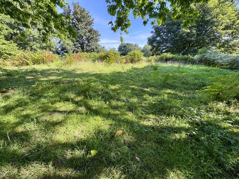 The hilltop today — a level grassy platform ringed by bracken