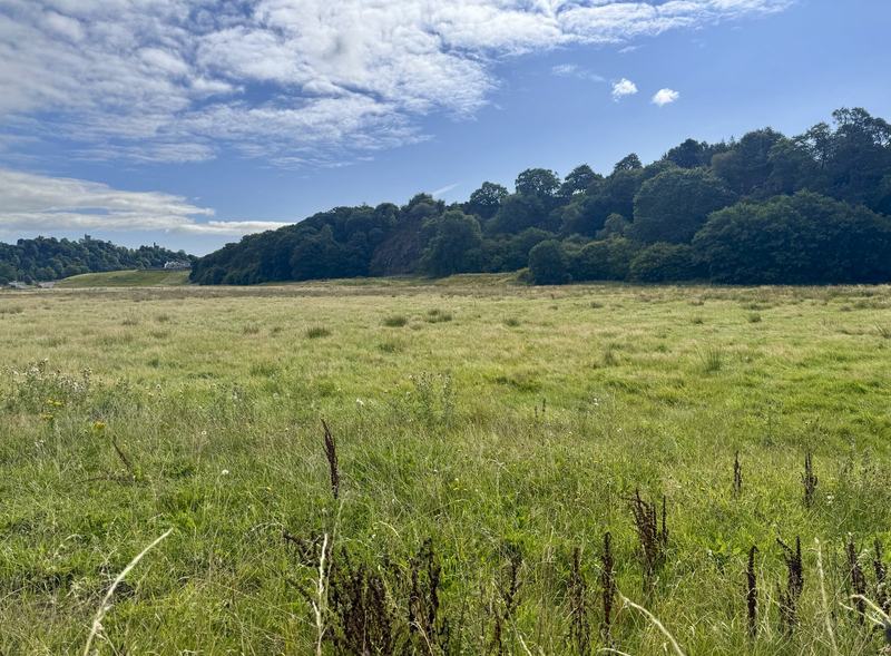 The rough grassland the rig and furrow survives under — the ridges read best in a low sun