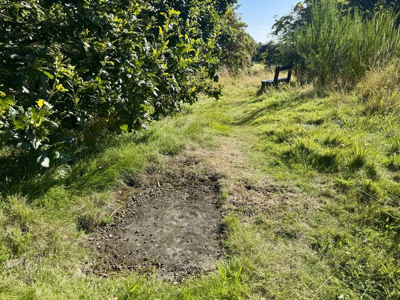 The carved outcrop in its setting, beside the path